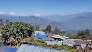 a small village with houses and a tree and mountains at Blue Pancy Homestay in Pedong