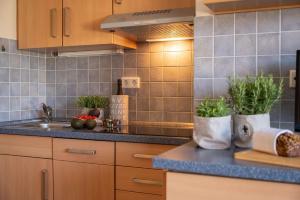 a kitchen with a sink and a counter with plants at Antares Spiekerooger Gästehaus-Sonnengartenbalkon Nord - Wohnung 5 in Spiekeroog