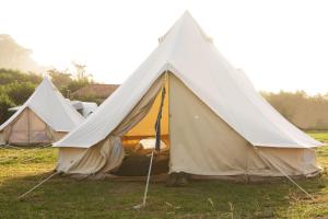 圣让-德吕兹Aparra Surfcamp Auberge Saint-Jean-de-Luz的田野上建了三个帐篷 更多15张照片