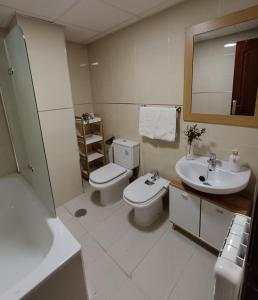 W łazience znajduje się toaleta, umywalka i lustro. w obiekcie Vandelvira 2 w mieście Baeza