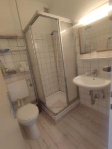 ein Bad mit einer Dusche, einem WC und einem Waschbecken in der Unterkunft Aparthotel & Wohnungen am Norderteich in Horn-Bad Meinberg