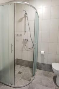 a shower stall in a bathroom with a toilet at Pakalnės sodyba in Skverbai