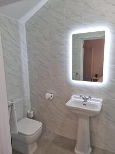 Un baño de The Monkey Puzzle