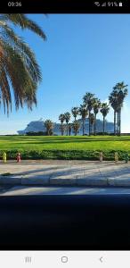 uitzicht op een park met palmbomen en een straat bij La Casetta del Viale 13 in Palermo