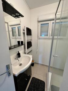 a bathroom with a sink and a shower at Petite maison sur aérodrome in Cosne-Cours-sur-Loire