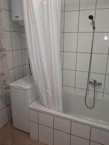 Koupelna v ubytování Apartman matusan palit55 + 8 fotografií
