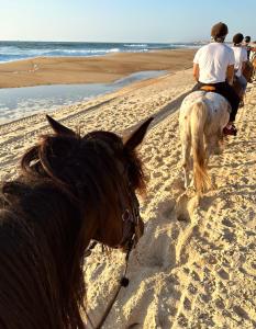 a group of people riding horses on the beach at Aparra Surfcamp Capbreton in Capbreton