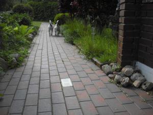 ハーフクルークにあるHaus Goriの二匹の猫が煉瓦の歩道を歩いている