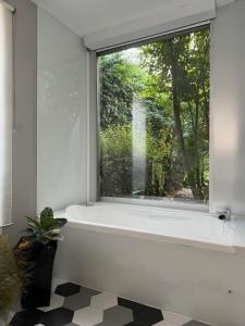 una ventana en una habitación blanca con una maceta en Casa Calima en Esteiro