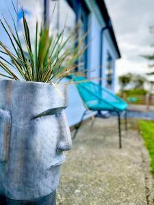 una estatua de una cara con una planta en una olla en Bungalow, mountain and sea views parking, en Aberdyfi