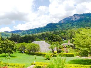 a house in a field with mountains in the background at Taita Rocks Hotel in Wundanyi