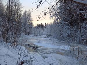 a stream in a snow covered forest with trees at SunnemosLantLiv in Sunnemo