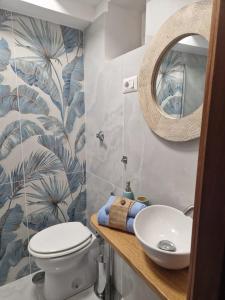 阿納卡普里的住宿－Casetta Milù，一间带水槽、卫生间和镜子的浴室