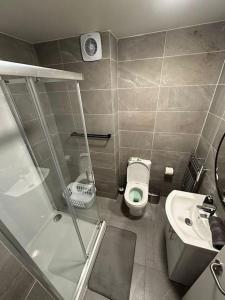 a bathroom with a shower and a toilet and a sink at Central & Spacious Centre Apt in Dublin
