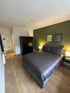 um quarto com uma cama e uma parede verde em Central & Spacious Centre Apt em Dublin