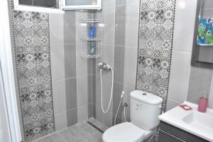 a bathroom with a shower with a toilet and a sink at Dar Sobrina in Tozeur