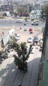 Hotel Red Blue,Ahmedabad في Naroda: شجرة في وعاء بجانب موقف للسيارات