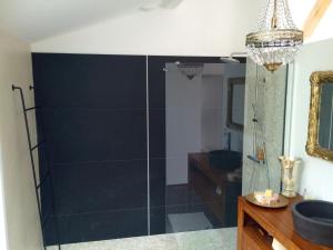 ein Bad mit einer Dusche, einem Waschbecken und einem Spiegel in der Unterkunft Appartement entre mer et montagne in Ustaritz