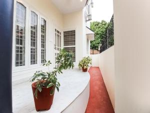 een hal met potplanten in een huis bij Elite And Modern Stay in Dehradun