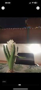 a white flower in a vase on a table at Villa con patio in Madrid