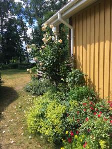 a bush of flowers next to a house at Ferienhaus zum Krakower See in Krakow am See
