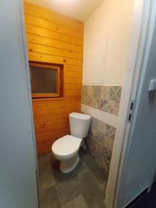 a bathroom with a toilet in a room with wooden walls at Chatky u potoka chatka n3 in Olešnice v Orlických horách