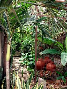 a garden with a fence and a bunch of plants at Residencial Casa Flor Atelier Botânico, Ponta Negra in Natal