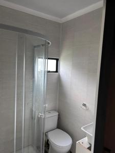 a bathroom with a toilet and a shower and a sink at Hagedis Dorp - 1 Bedroom Apartment in Hartbeespoort