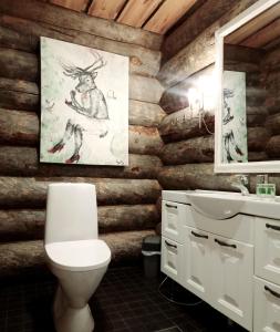 Ένα μπάνιο στο Napapiirin Järvilomat