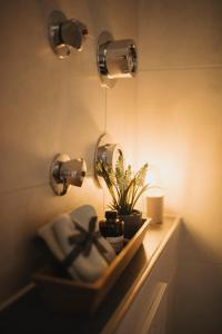 baño con estante con planta y luces en Stilvolle FeWo I 1 bis 4 Pers I Terrasse I WIFI en Lechbruck