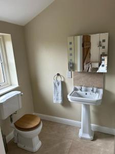 a bathroom with a toilet and a sink at A family and dog friendly haven, The Hayloft. in Saxmundham