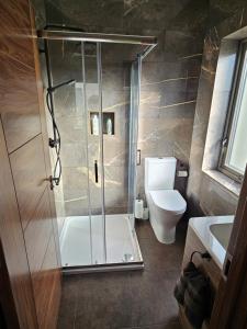 uma casa de banho com um chuveiro e um WC. em Suaimhneas em Lahinch