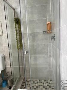 a shower with a glass door in a bathroom at White Oasis in Gaborone