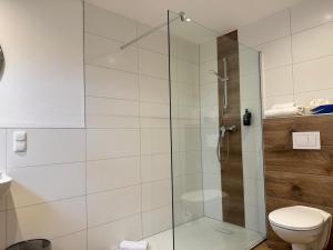 a bathroom with a glass shower with a toilet at Hotel Schultheiss Hameln in Hameln