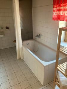 a bathroom with a tub with a shower in it at Zoopark Chomutov in Chomutov