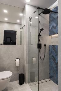 a bathroom with a shower with a toilet and a sink at AVAPATRS Apartament BLUE in Jastarnia
