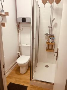 ein kleines Bad mit einem WC und einer Dusche in der Unterkunft Mignon petit studio 16m2 in Les Lilas