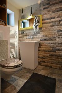 a bathroom with a toilet and a stone wall at Pensiunea Tihna in Râu de Mori