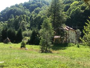 a house in the middle of a field with trees at Pensiunea Tihna in Râu de Mori