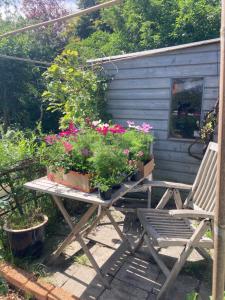 Rosa's zonnige huisje bij duinen bos en strand外面的花园