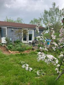 Rosa's zonnige huisje bij duinen bos en strand外面的花园