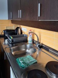 fregadero de cocina con tendedero de platos y esponja en Grimming view Apartment, en Tauplitz