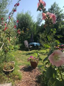 Rosa's zonnige huisje bij duinen bos en strand外面的花园