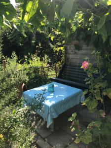 Rosa's zonnige huisje bij duinen bos en strand外面的花园