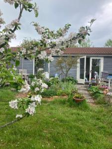 Rosa's zonnige huisje bij duinen bos en strand外面的花园