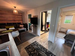 a living room with a couch and a television in a room at Lodge Starlette Spa privatif à Meisenthal in Meisenthal