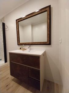 比列納的住宿－Apartamento Thematic OyM，浴室设有水槽和墙上的镜子
