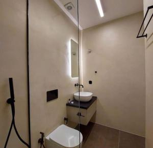 La salle de bains est pourvue de toilettes, d'un lavabo et d'une douche. dans l'établissement BlueMotion - 4PortCenterΑpartment, au Pirée