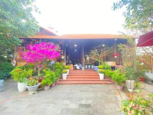 a group of potted plants on a patio at Vui Homestay in Xóm Trương Quít