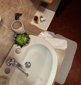 um lavatório branco com uma planta verde em Dimora Selù em Laurino